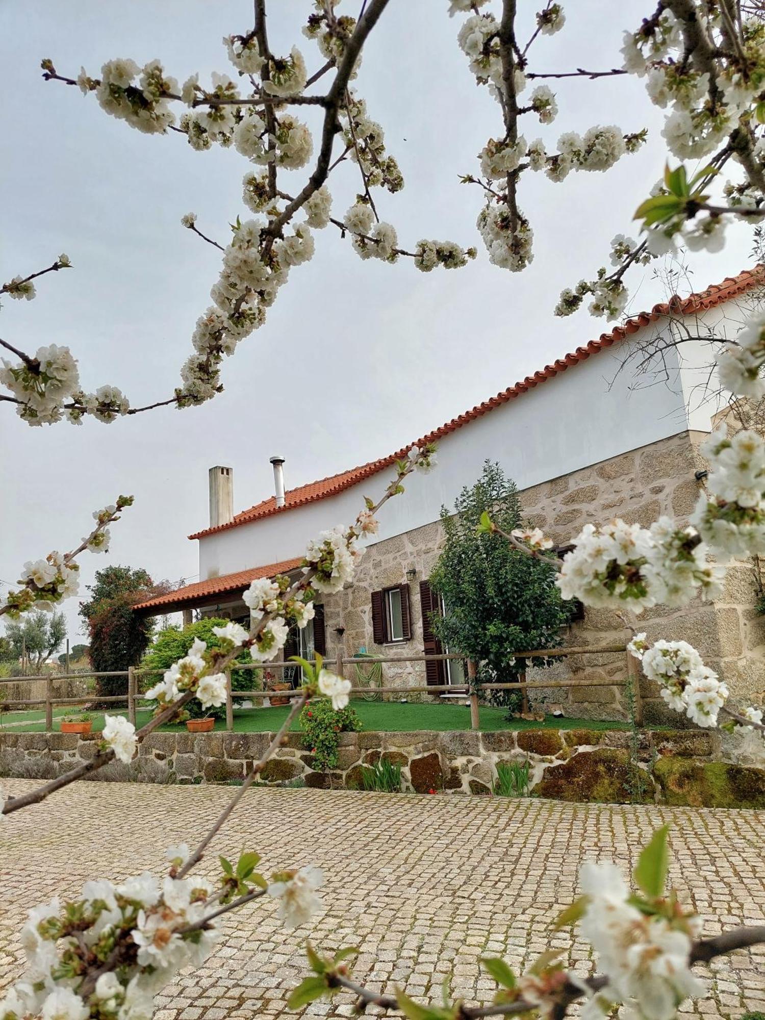 A Casa Do Soito Villa Oliveira do Hospital Exterior photo